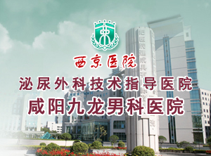 西京专题