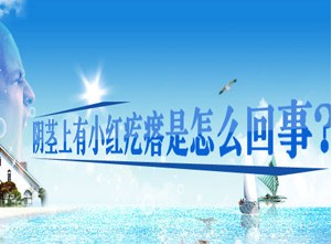 阴茎小红疙瘩专题